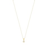 Lantisor aur 14K stea cu pietre 45 cm DiAmanti PUP0043PG14K-BO15NG14K _45cm-AS